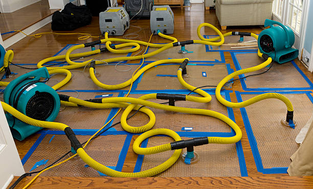 Professional Crawl Space Water Removal technician working in Dammeron Valley, UT